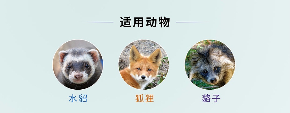 毛皮動(dòng)物的血蟲病鹽酸多西環(huán)素可溶性粉青島康地恩專賣 毛皮動(dòng)物的血蟲病鹽酸多西環(huán)素可溶性粉青島康地恩專賣