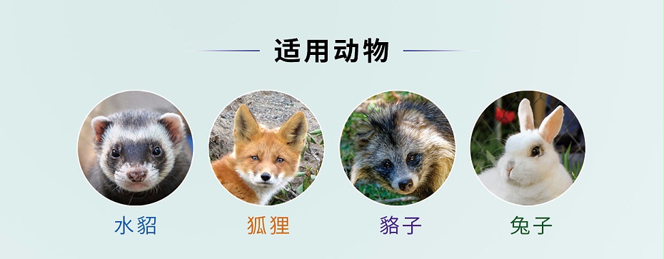 貂狐貉兔等毛皮動物退熱解表藥-卡巴匹林鈣可溶性批發-青島康地恩