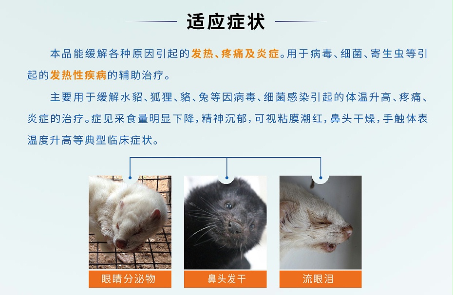 貂狐貉兔等毛皮動物退熱解表藥-卡巴匹林鈣可溶性批發-青島康地恩2