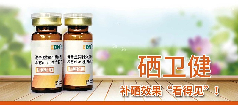 青島康地恩硒衛健-家禽補硒最好的藥