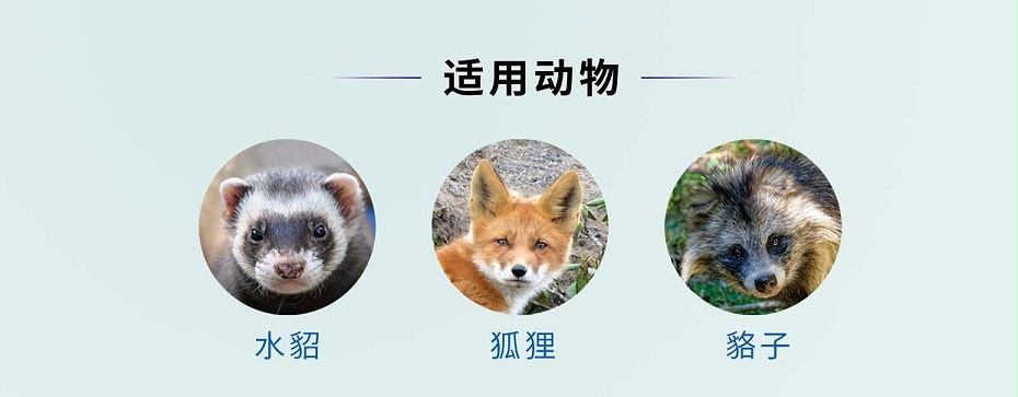 貂狐貉感冒、消炎殺菌、乳房炎藥廠家-青島康地恩-1