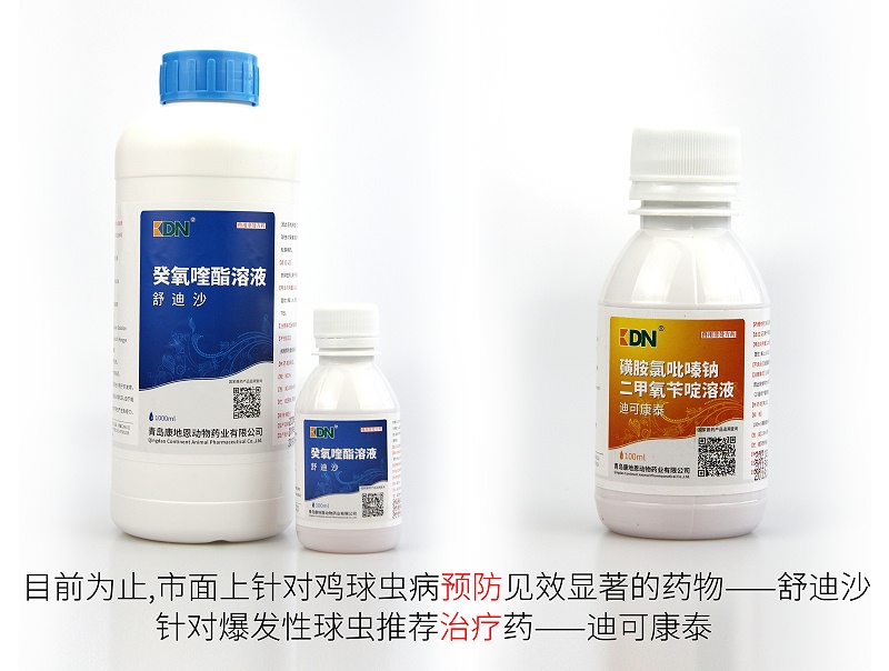 雞球蟲病預防推薦用藥——舒迪沙。爆發(fā)性球蟲治療藥——迪可康泰。