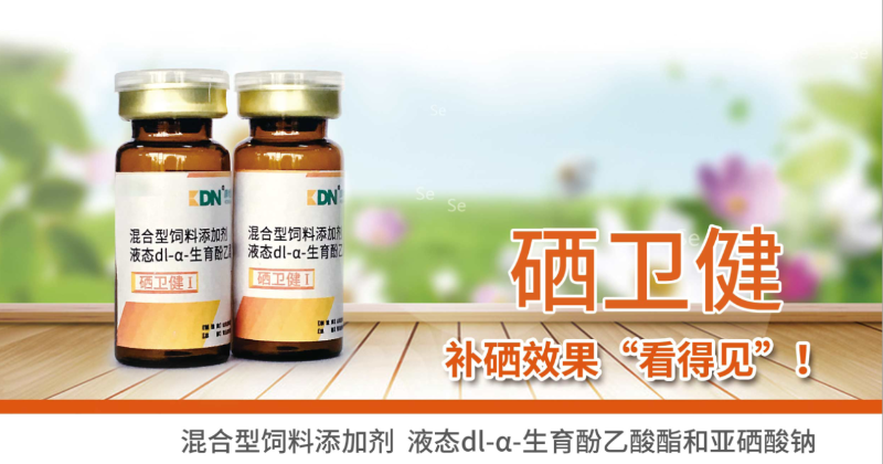 快大型肉禽早期缺硒性癱瘓怎么辦？【康地恩養殖】