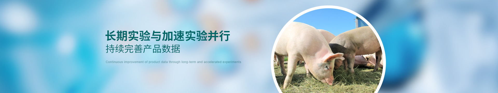 康地恩，長期實驗與加速實驗并行