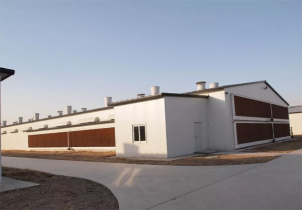 籠養雞舍通風降溫的縱向風速數據檢測分析