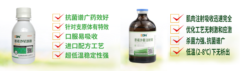 【康地恩-養兔】兔巴氏桿菌病的防治