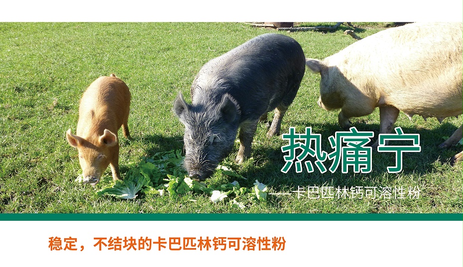 卡巴匹林鈣，解熱鎮痛