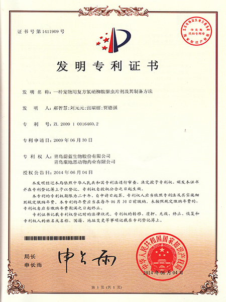 一種寵物用復方氯硝柳胺驅蟲片劑及其制備方法